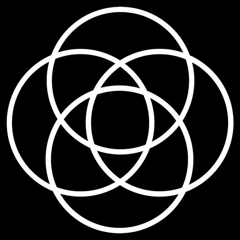 Synergeefitness Coupons and Promo Code