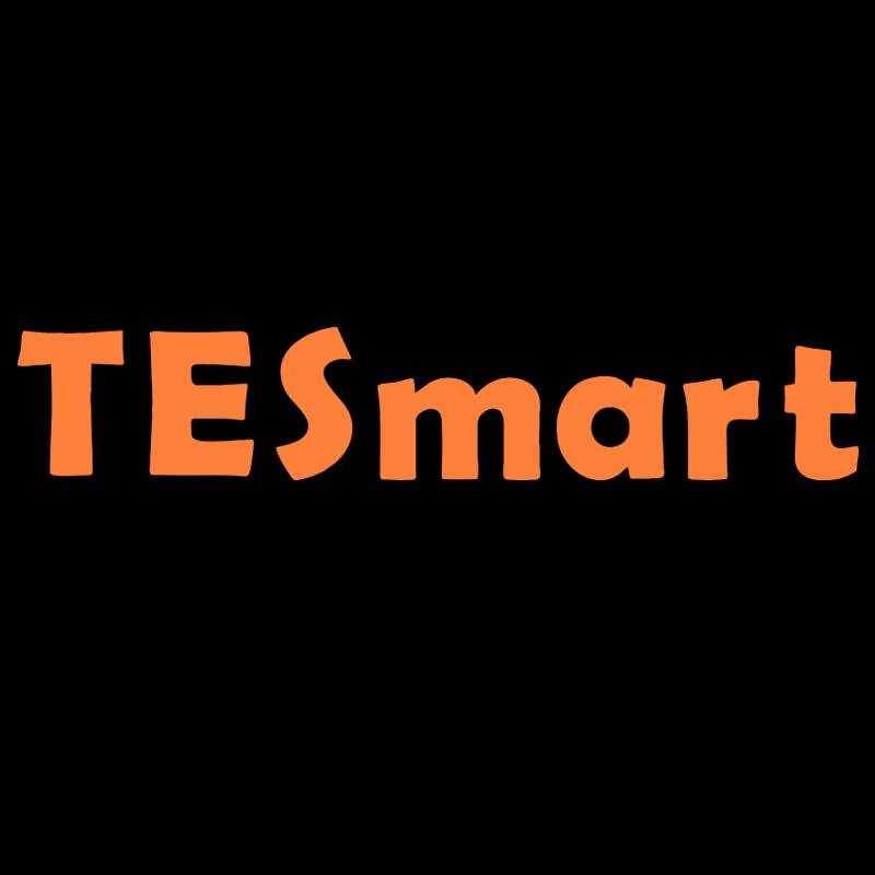 Tesmart Coupons and Promo Code